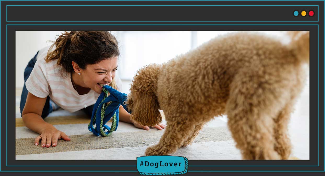 vínculo humano perro